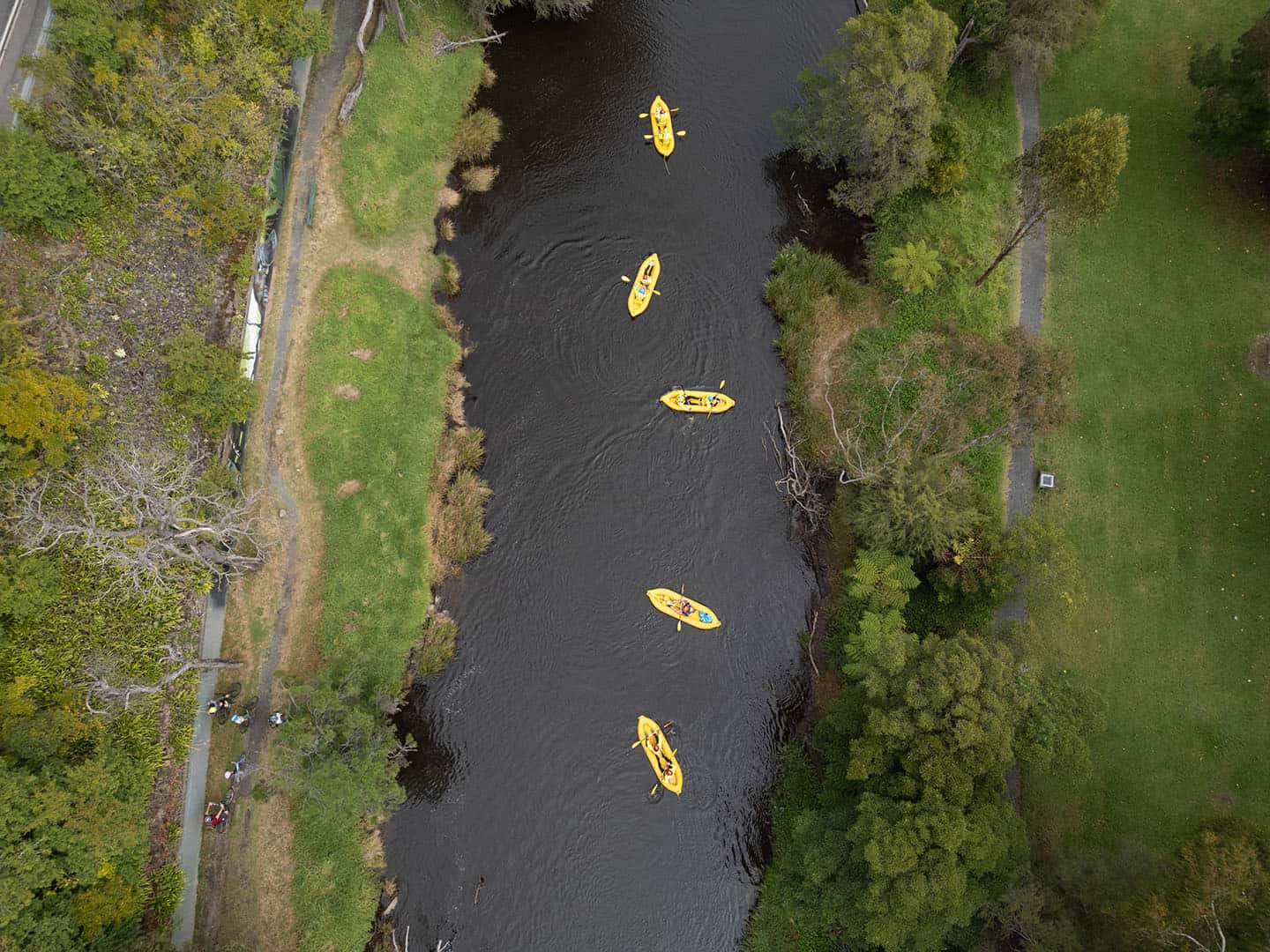 Five yellow inflatable kayaks floating down a river