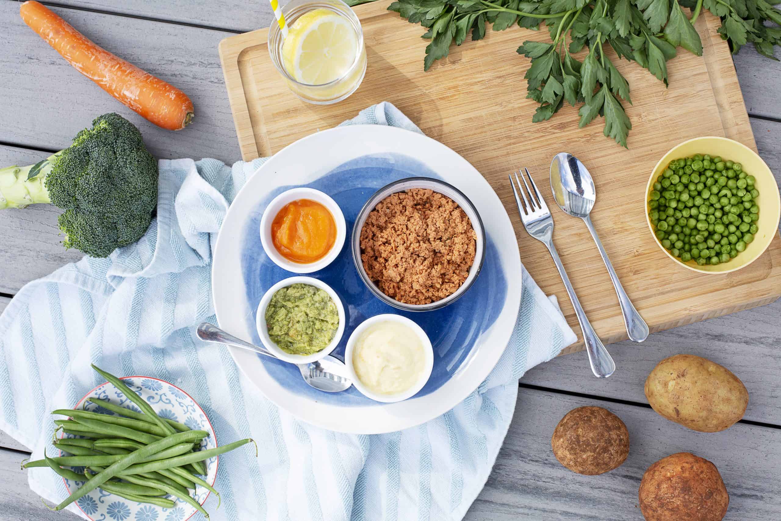 Chicken Parmigiana Puree