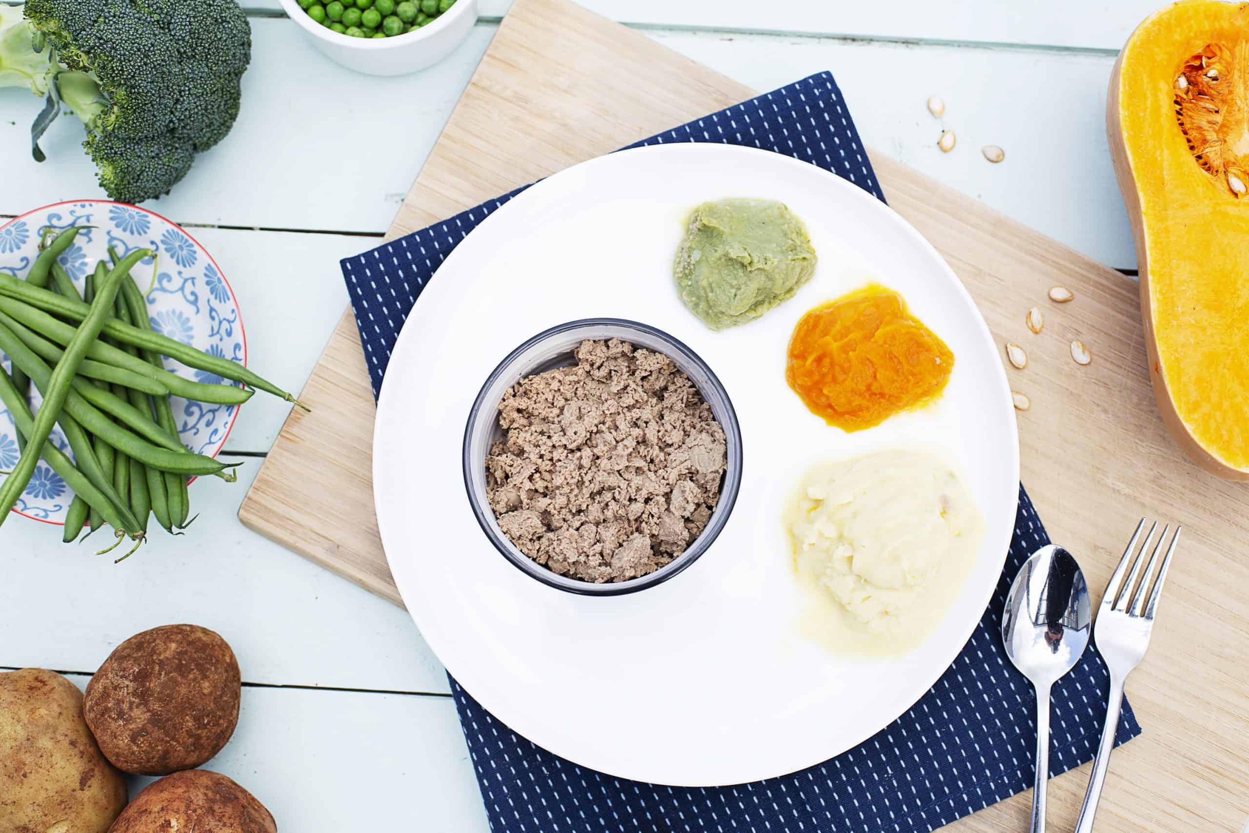 Roast Beef & Onion Gravy Pureed