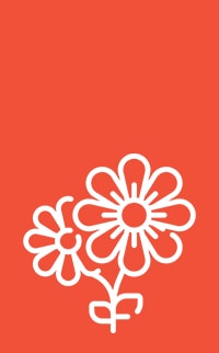 spring icon copy 1.jpg