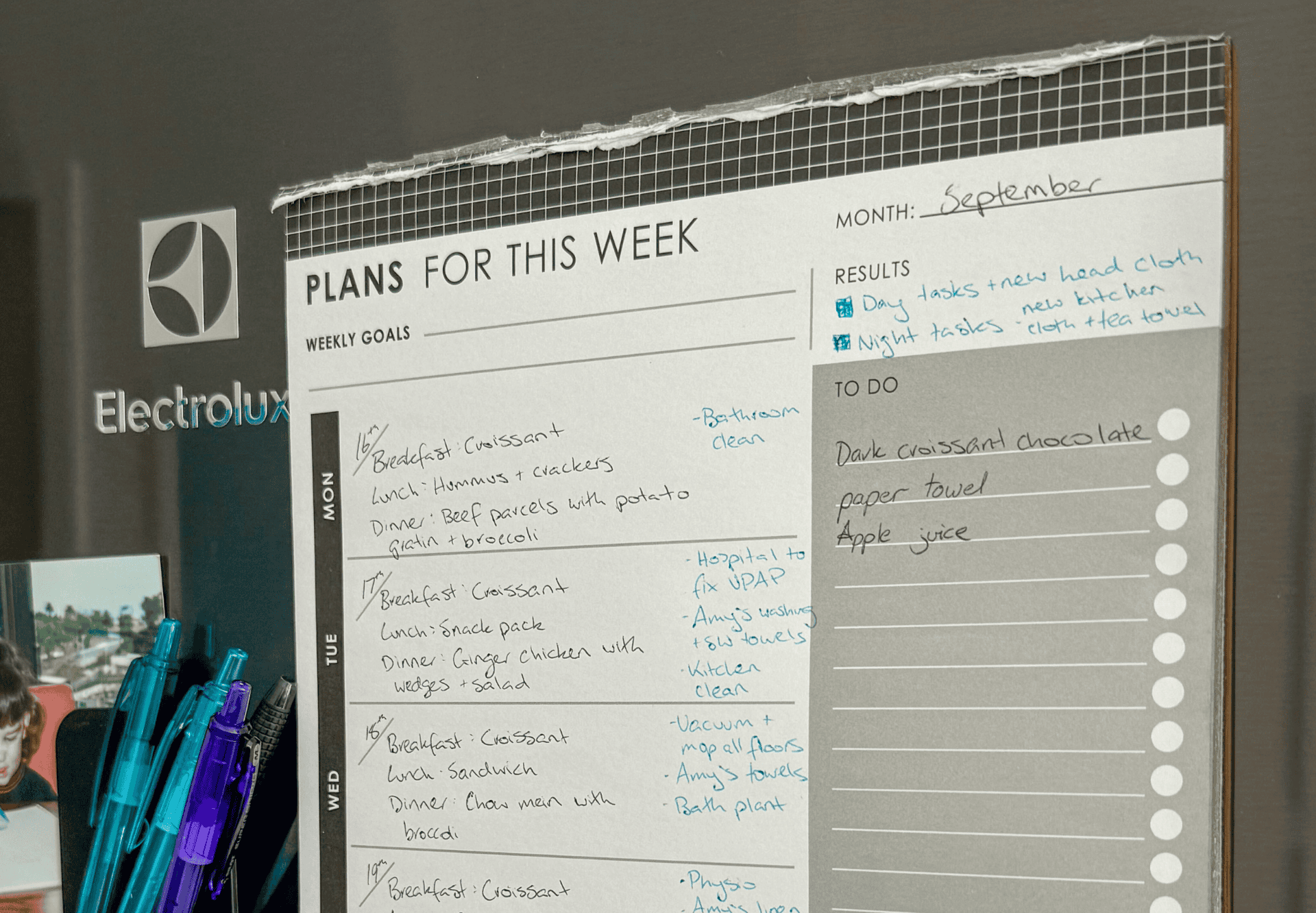 Amy's paper planner stuck onto her gray fridge with notes for the week. Text says "plans for the week" with handwritten notes.
